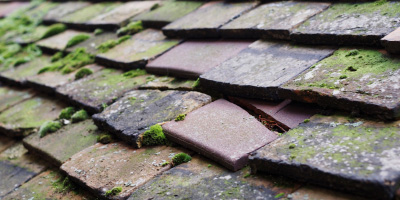 Brinkley roof repair costs